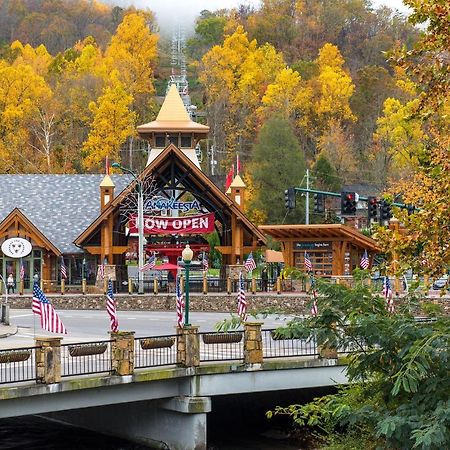 Cabin Of Dreams, 3 Bedroom Water View, Wifi, Hot Tub, Pool Table, Sleep 8 Sevierville Eksteriør billede
