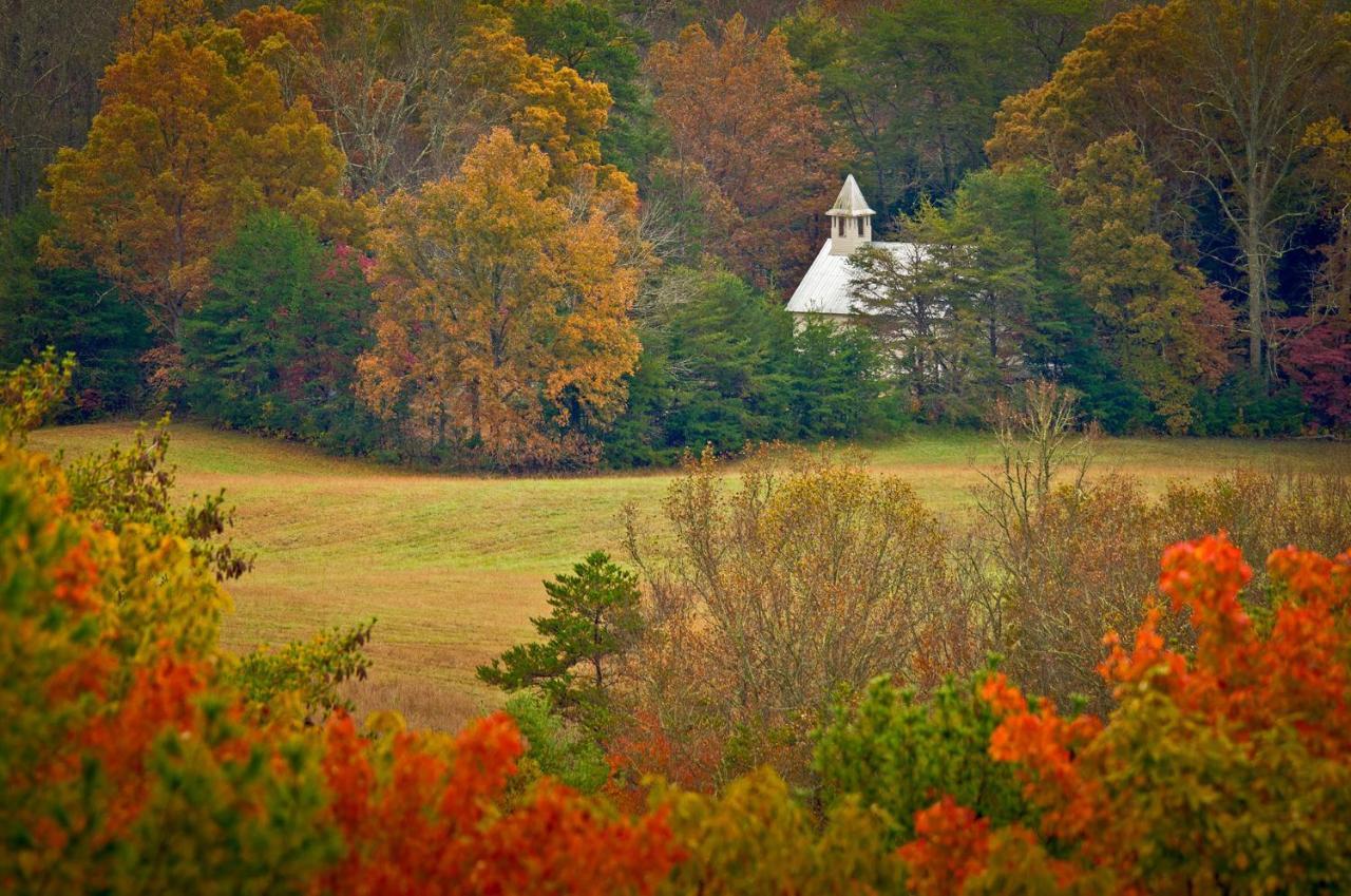 Cabin Of Dreams, 3 Bedroom Water View, Wifi, Hot Tub, Pool Table, Sleep 8 Sevierville Eksteriør billede