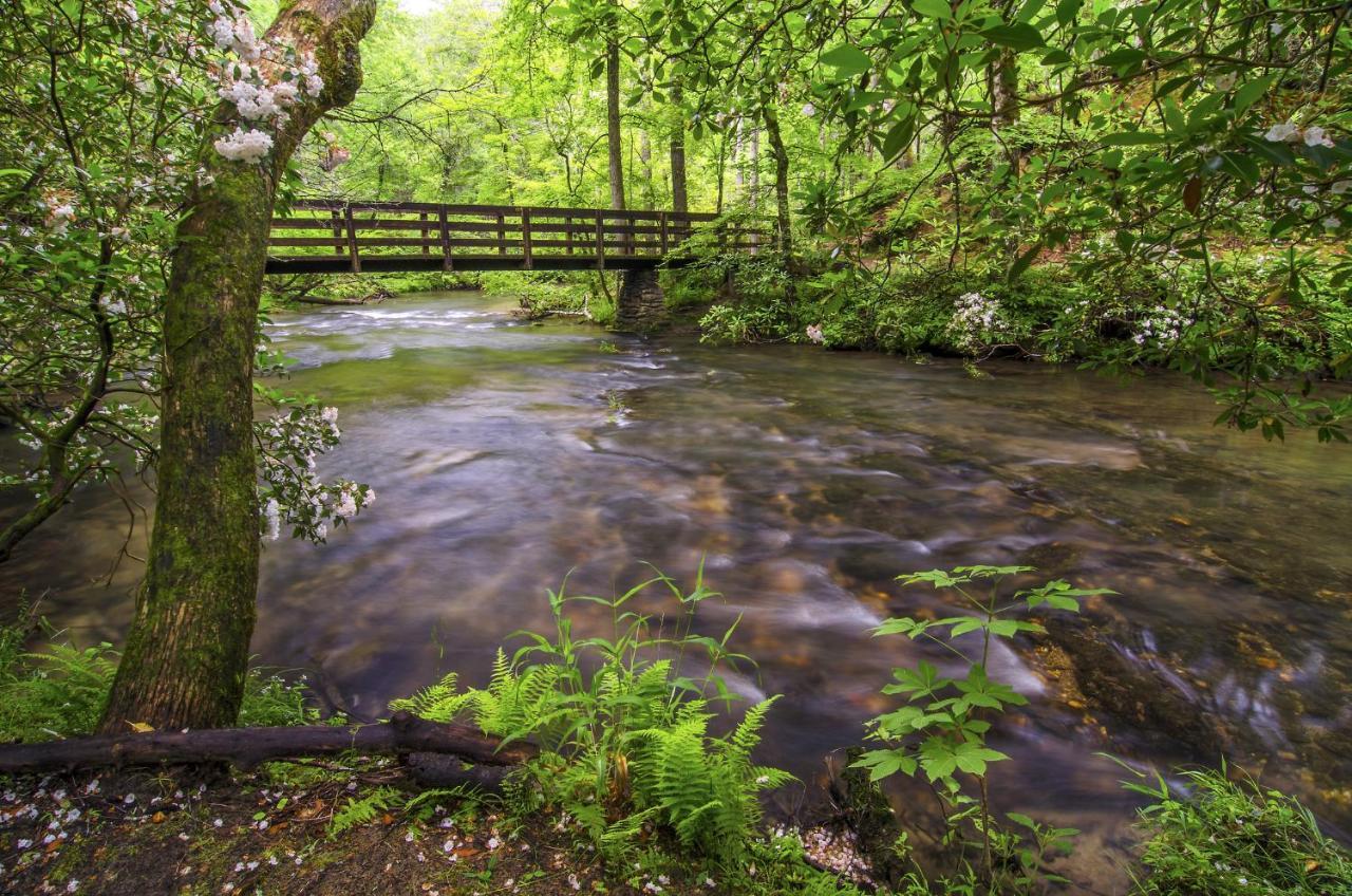 Cabin Of Dreams, 3 Bedroom Water View, Wifi, Hot Tub, Pool Table, Sleep 8 Sevierville Eksteriør billede