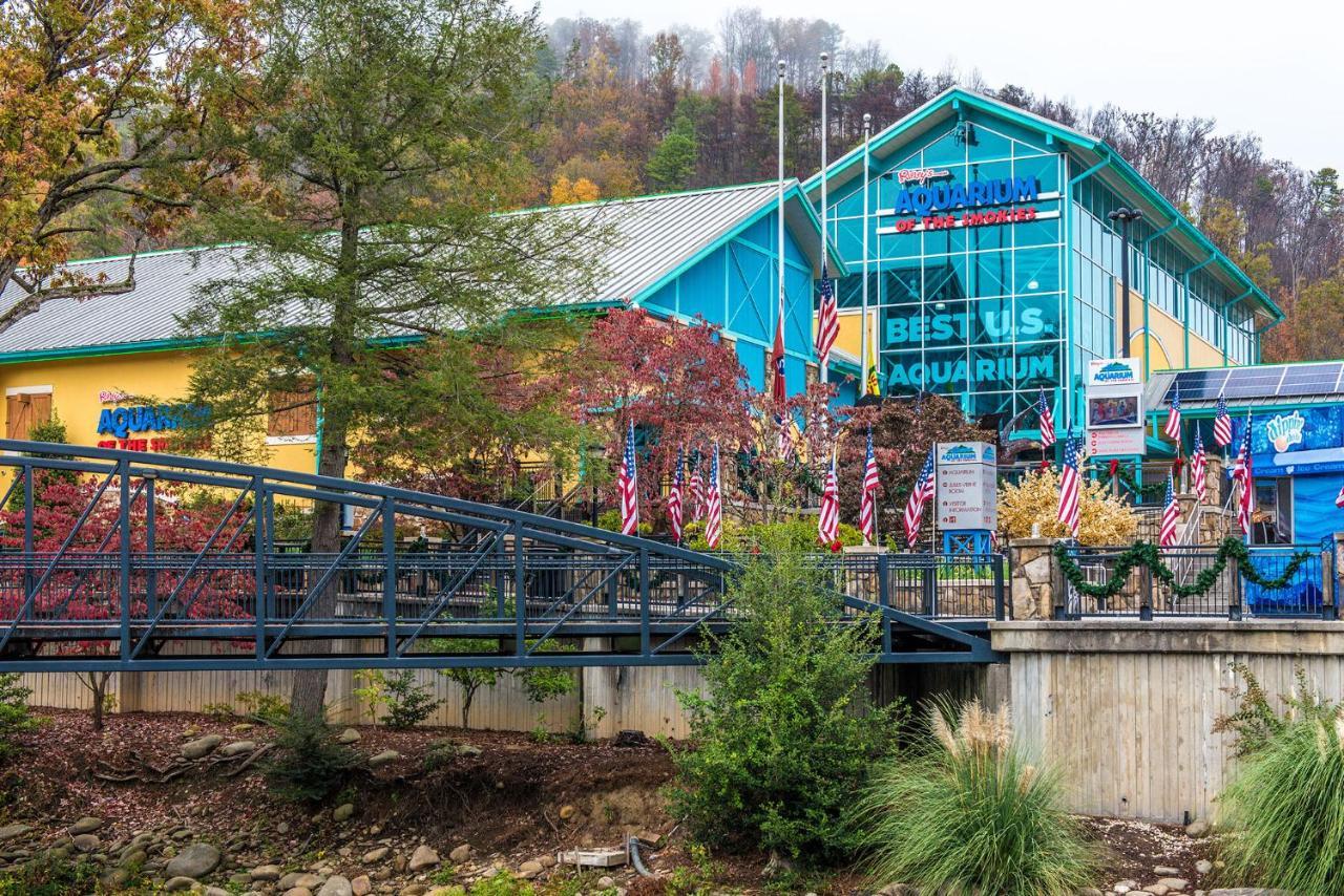 Cabin Of Dreams, 3 Bedroom Water View, Wifi, Hot Tub, Pool Table, Sleep 8 Sevierville Eksteriør billede