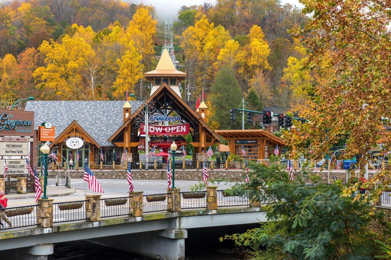 Cabin Of Dreams, 3 Bedroom Water View, Wifi, Hot Tub, Pool Table, Sleep 8 Sevierville Eksteriør billede